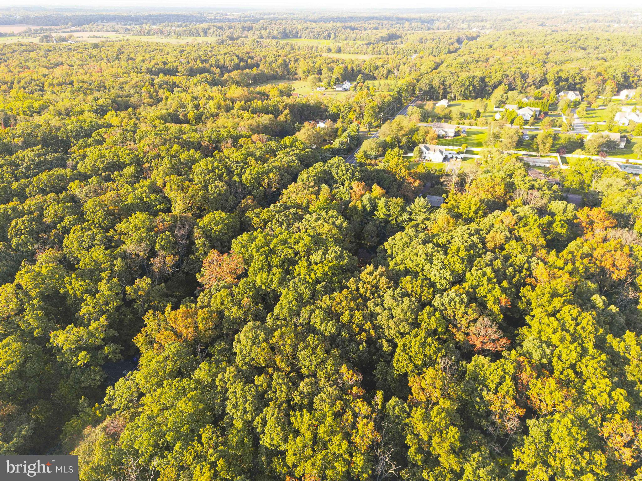 930 Monroeville Road Mullica Hill, NJ 08062 - Photo 8 of 14