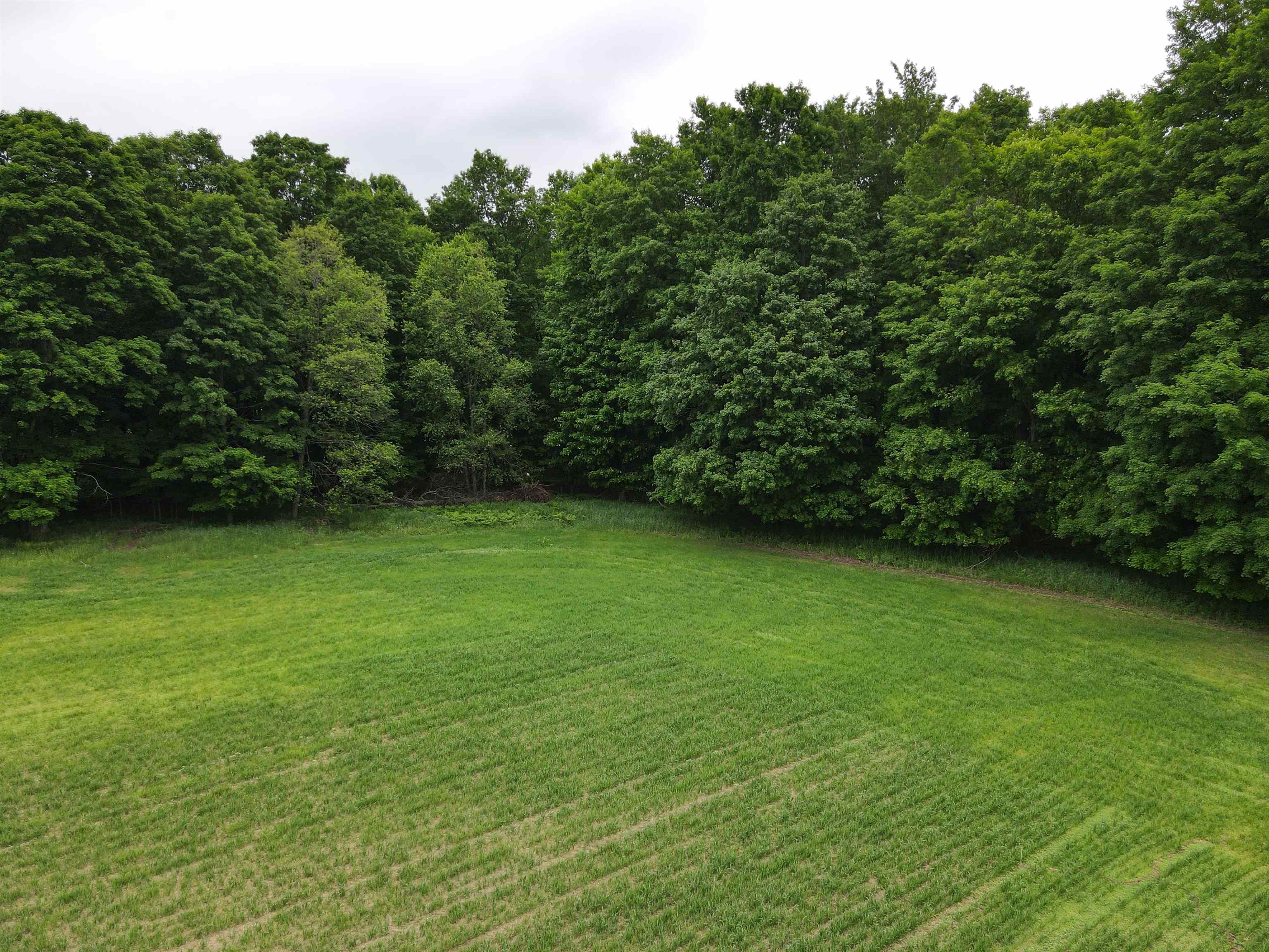 120-acres Blackman Road Kingsley, MI 49649 - Photo 5 of 12