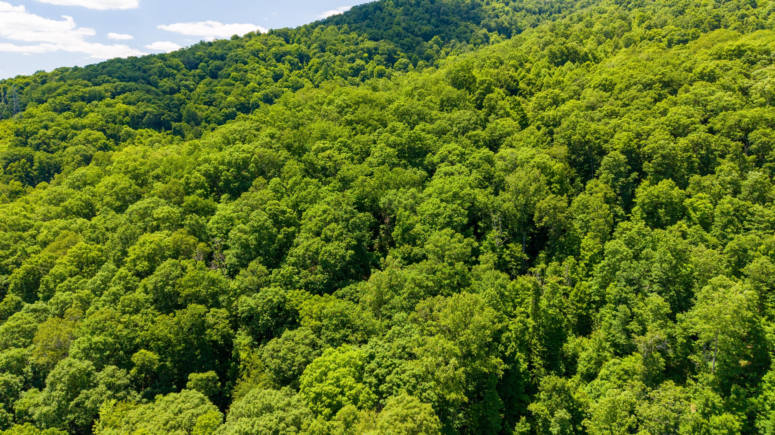 Big Creek Road Hinton, WV 25951 - Photo 2 of 18 Gallery Image 2