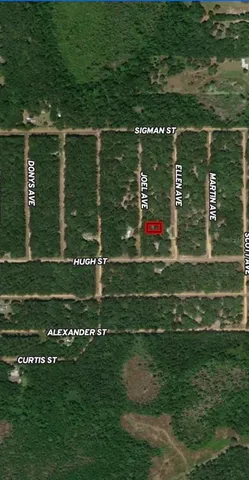 $7,400 | 11 Joel Avenue, Interlachen, FL 32148