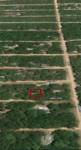 $7,400 | 11 Joel Avenue, Interlachen, FL 32148