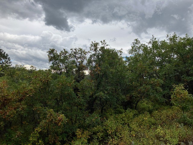 1 La Sierra Road Holman, NM 87723 - Photo 14 of 18