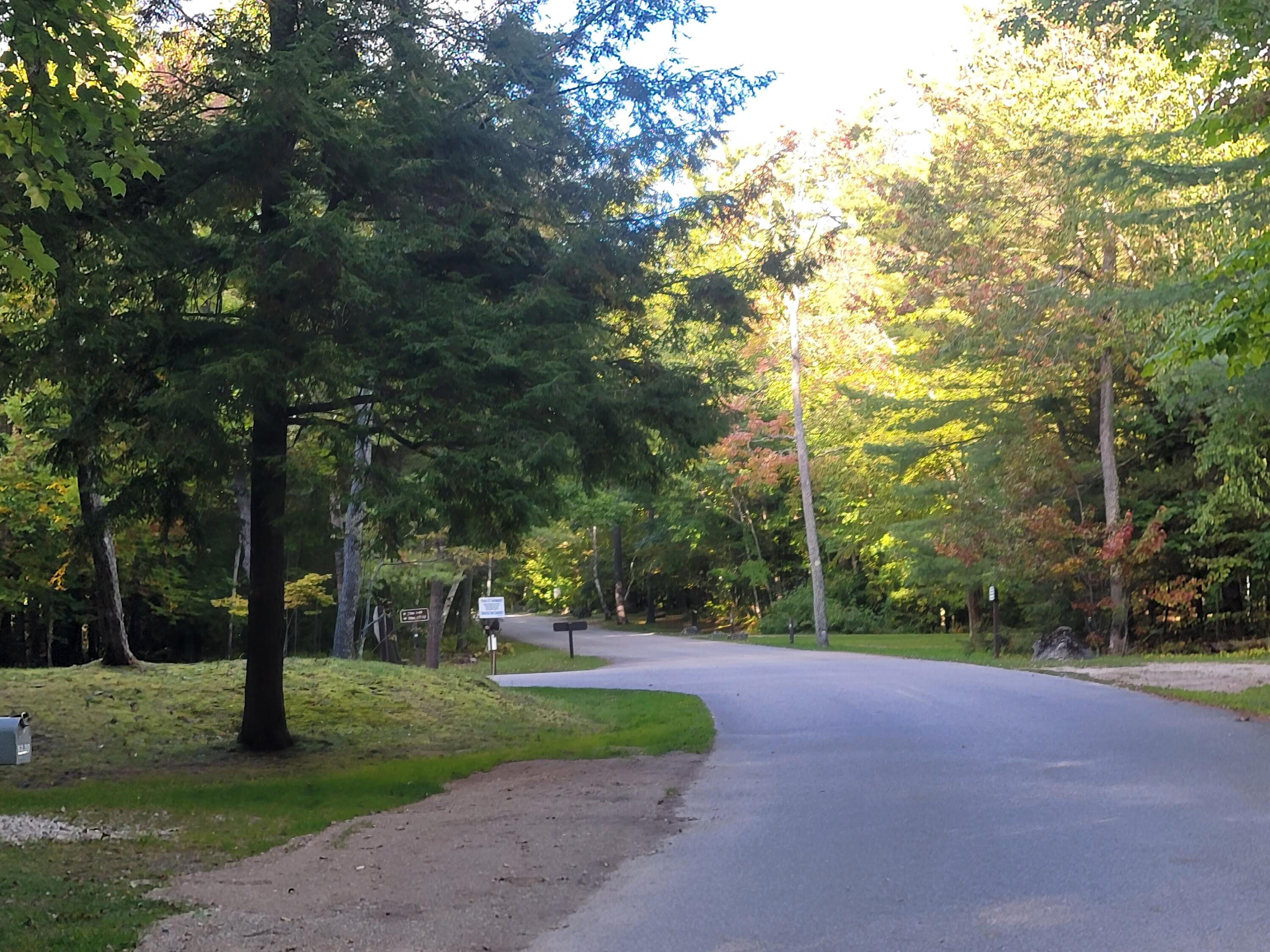 Lot 1 Brevort Camp Road Moran, MI 49760 - Photo 61 of 66 Gallery Image 61