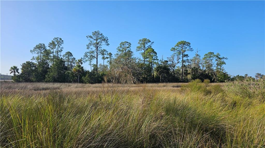 304 Burford Road Brunswick, GA 31523 - Photo 3 of 5
