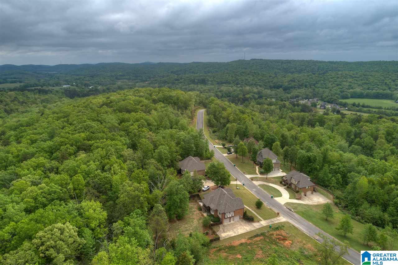 452 Ronny Lane Springville, AL 35146 - Photo 7 of 42