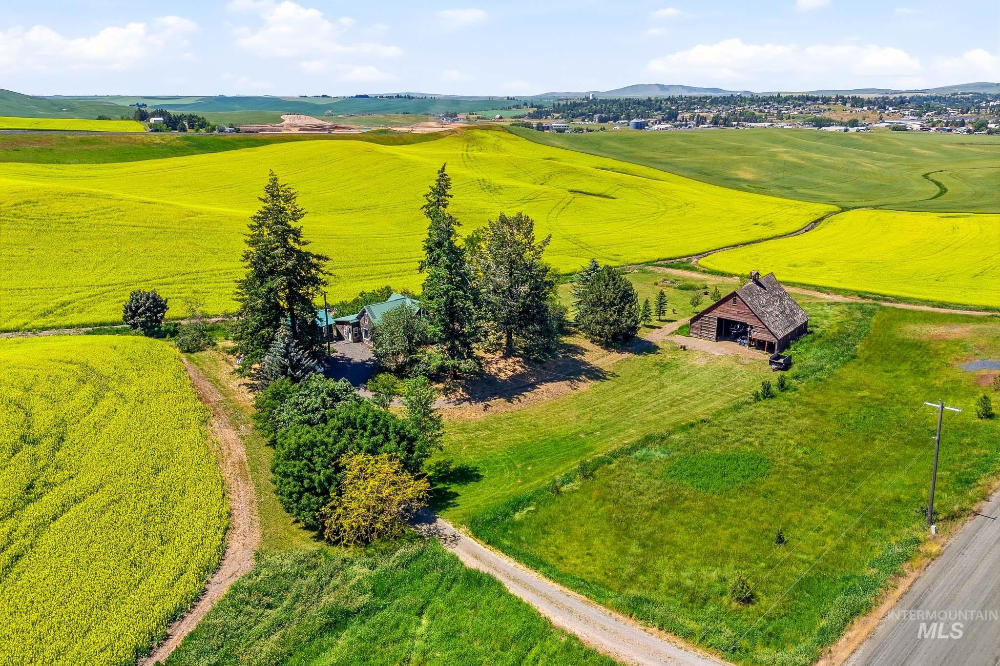 1185 Paradise Ridge Road Moscow, ID 83843 - Photo 1 of 38