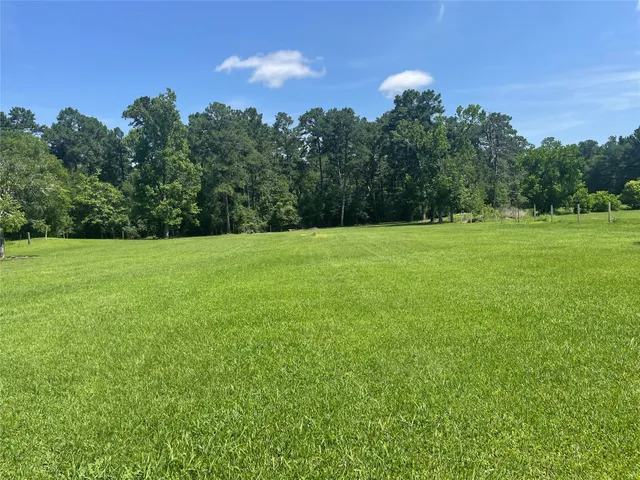 a view of a field with trees in the background