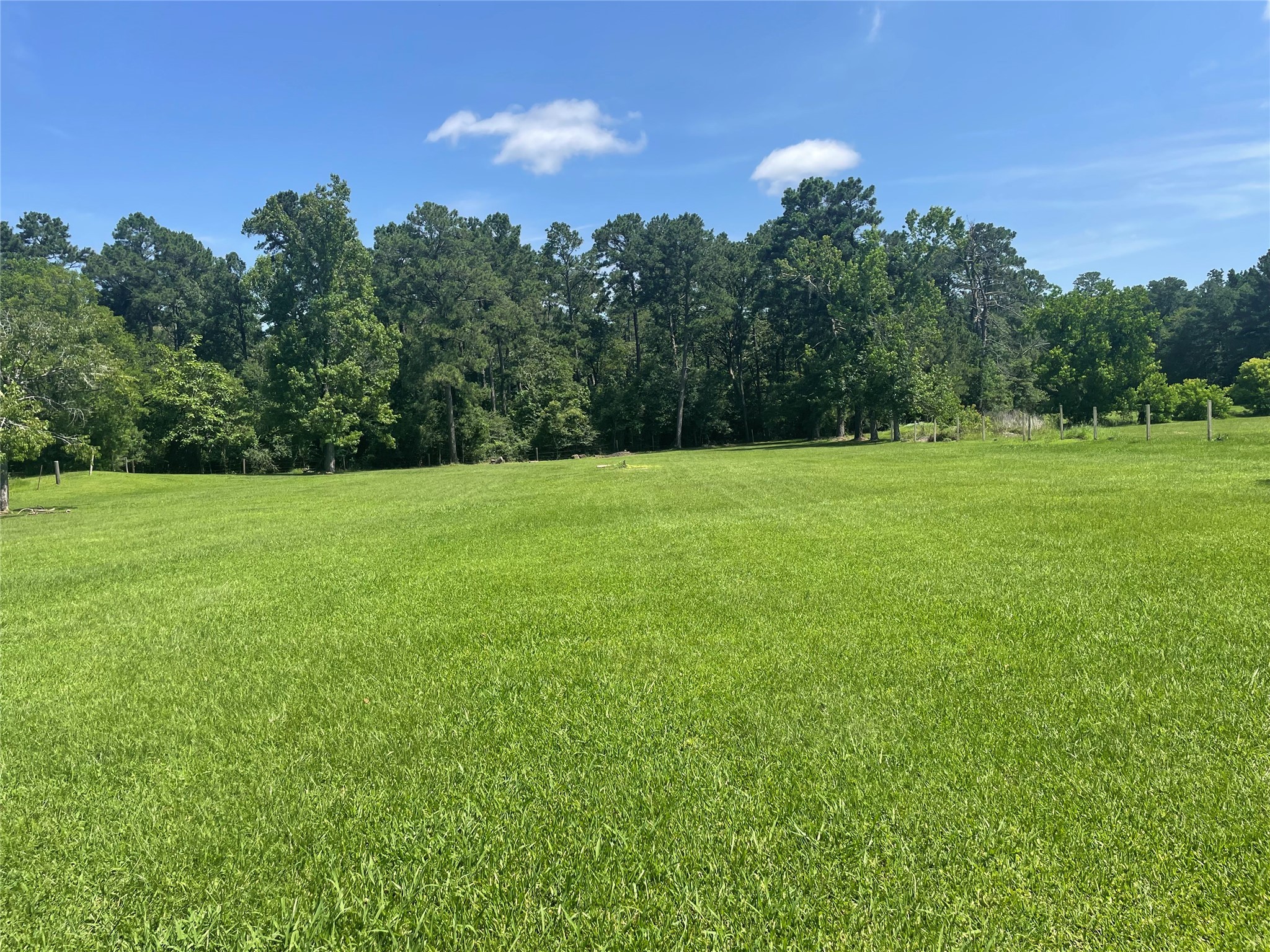 2365 U.S. Highway 190 Huntsville, TX 77340 - Photo 5 of 12 a view of a field with trees in the background