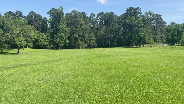 a view of outdoor space and yard