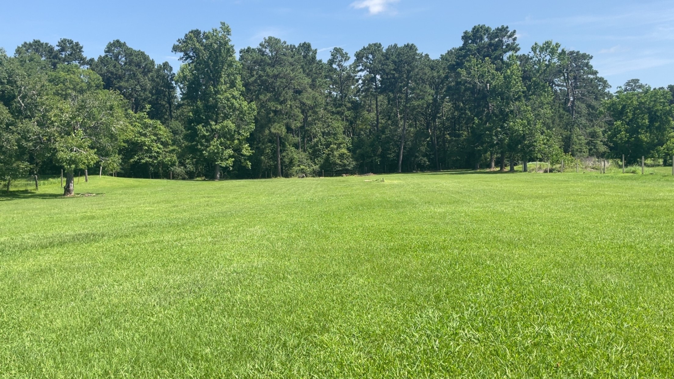 2365 U.S. Highway 190 Huntsville, TX 77340 - Photo 8 of 12 a view of outdoor space and yard