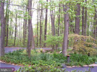 433 Rock Run Road Pottstown, PA 19465 - Photo 6 of 6