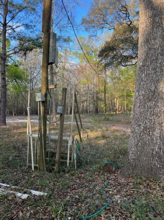 1263 Northwest 82nd Terrace Bell, FL 32619 - Photo 11 of 14 a view of a backyard