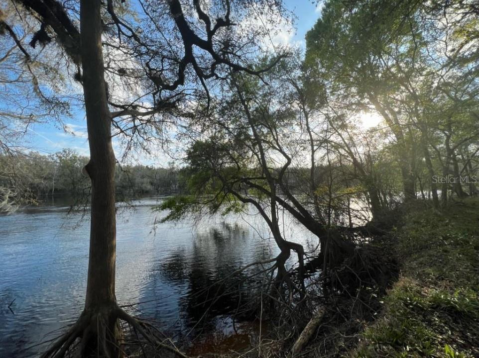 1263 Northwest 82nd Terrace Bell, FL 32619 - Photo 2 of 14 a backyard of a house with lots of green space and lake view