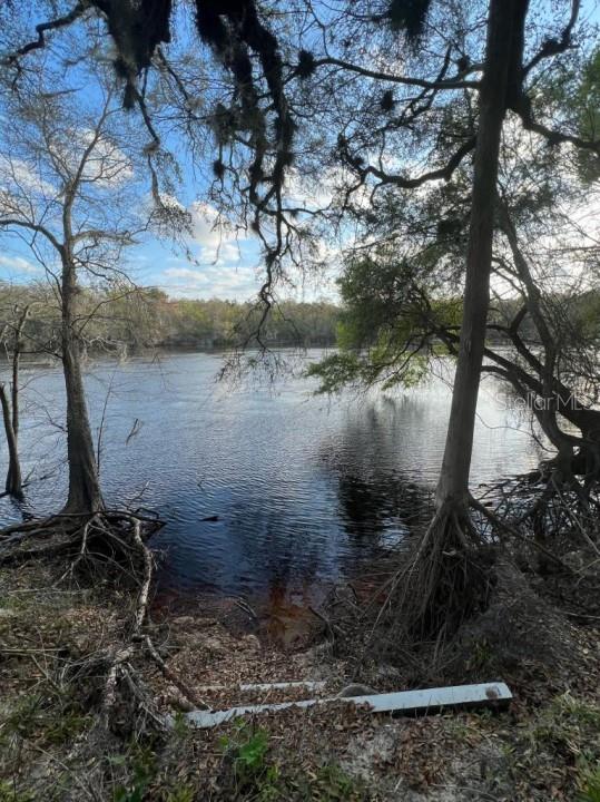 1263 Northwest 82nd Terrace Bell, FL 32619 - Photo 5 of 14 a view of a lake with a tree
