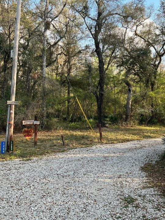 1263 Northwest 82nd Terrace Bell, FL 32619 - Photo 9 of 14 a backyard of water and trees