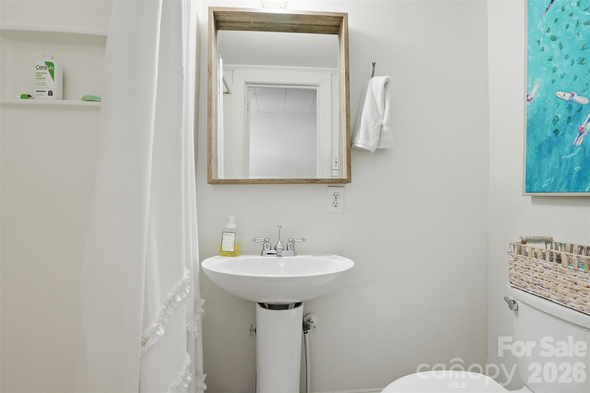 303 South Street Davidson, NC 28036 - Photo 17 of 37 a bathroom with a sink a mirror and a toilet
