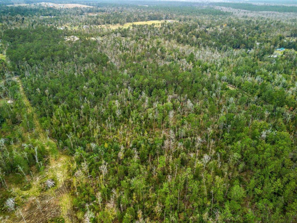 0 Woods Road Vinton, LA 70668 - Photo 4 of 9