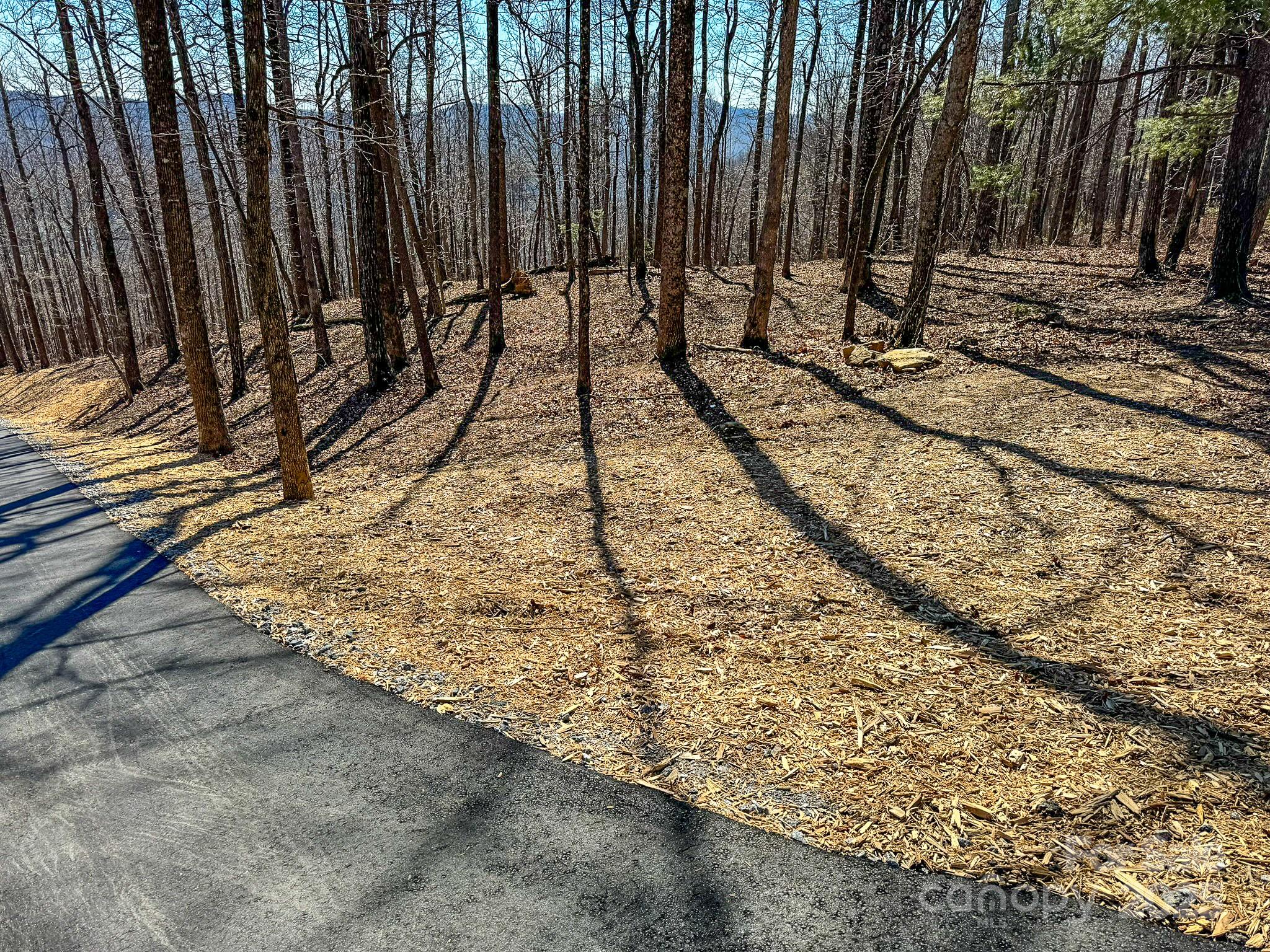 0 Pinnacle Mountain Road, Unit 1 Flat Rock, NC 28731 - Photo 11 of 18 a view of a backyard of the house