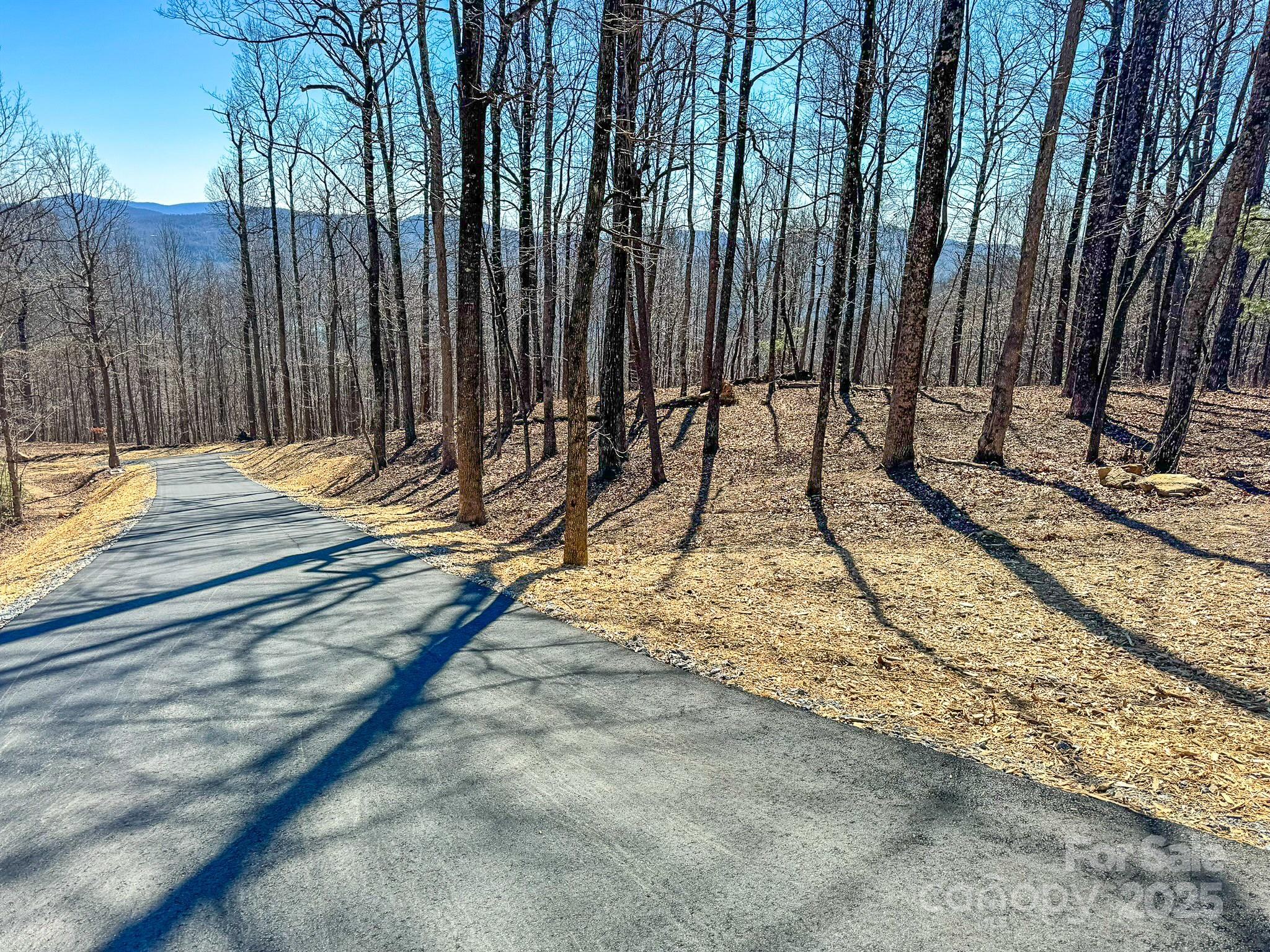 0 Pinnacle Mountain Road, Unit 1 Flat Rock, NC 28731 - Photo 12 of 18 a view of wooden fence