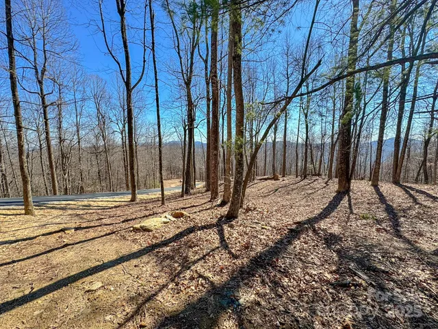 a view of a backyard with large trees