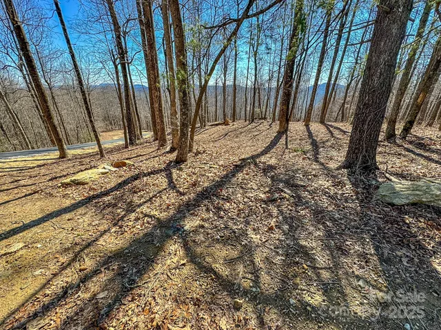 a view of a backyard of the house