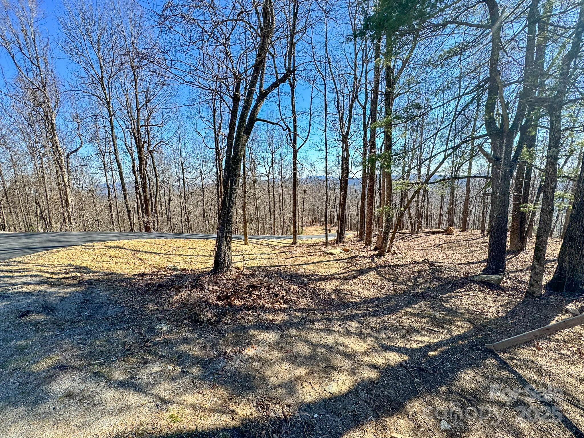 0 Pinnacle Mountain Road, Unit 1 Flat Rock, NC 28731 - Photo 16 of 18