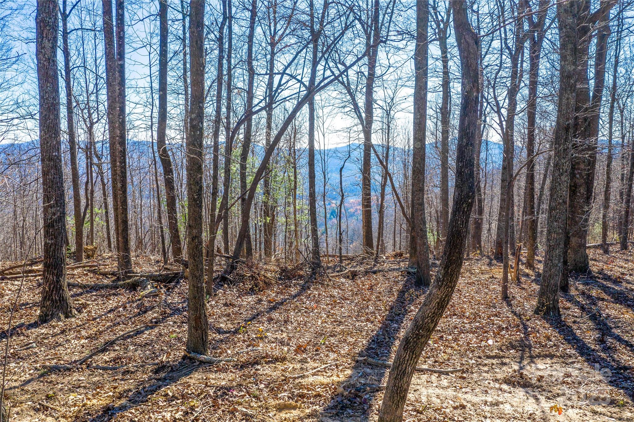 0 Pinnacle Mountain Road, Unit 1 Flat Rock, NC 28731 - Photo 17 of 18 a view of a backyard of the house