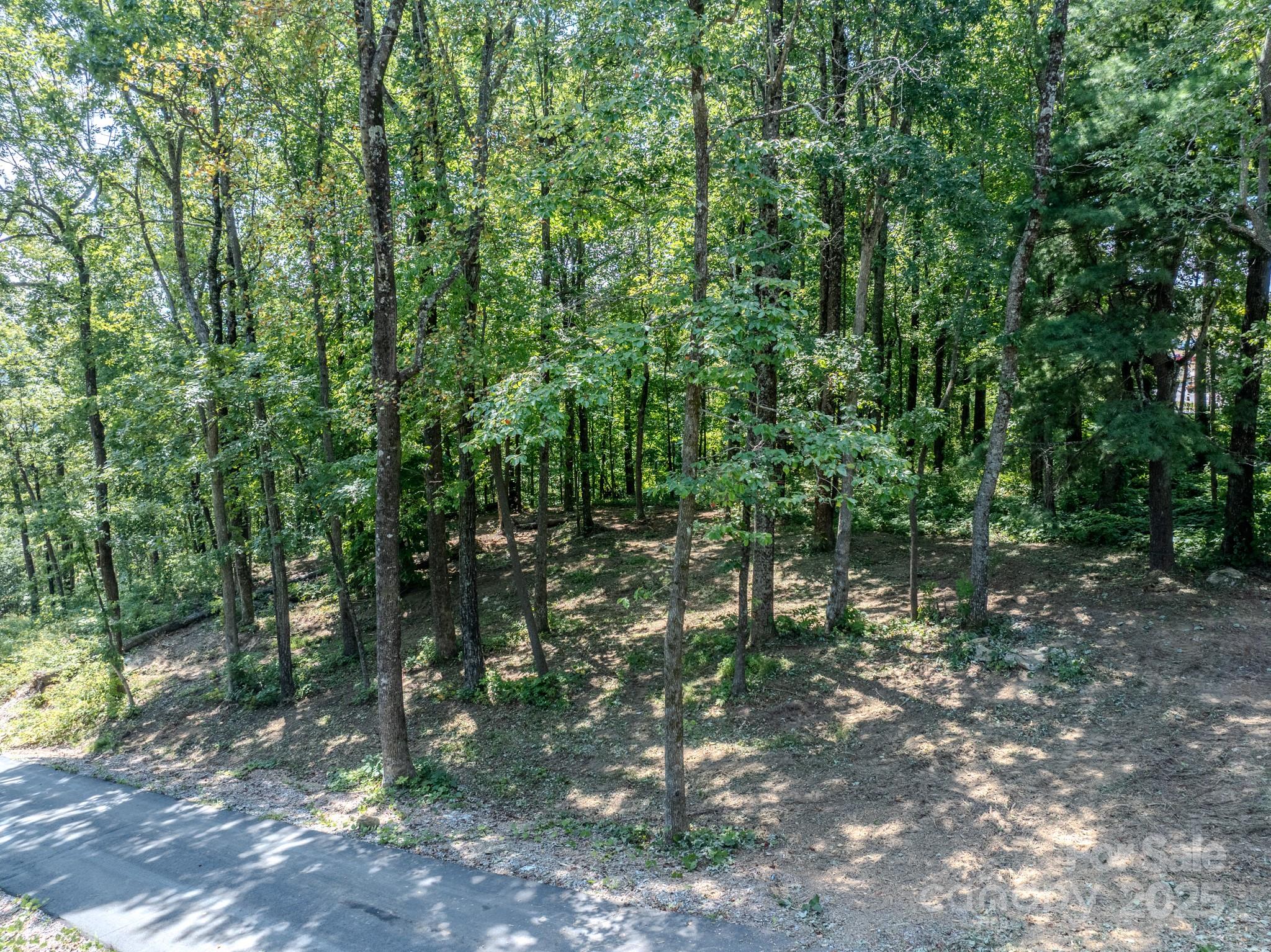 0 Pinnacle Mountain Road, Unit 1 Flat Rock, NC 28731 - Photo 2 of 18 a backyard of a house with lots of green space