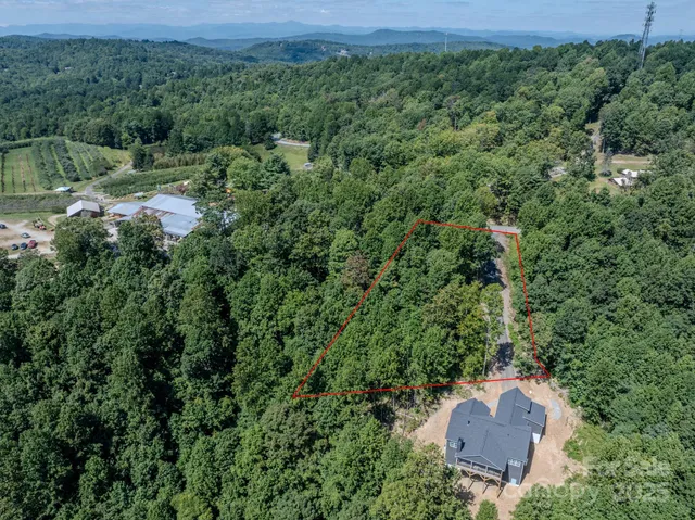 an aerial view of residential house with outdoor space and trees around
