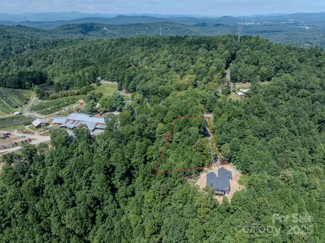 a view of a dry yard with a barn and large trees