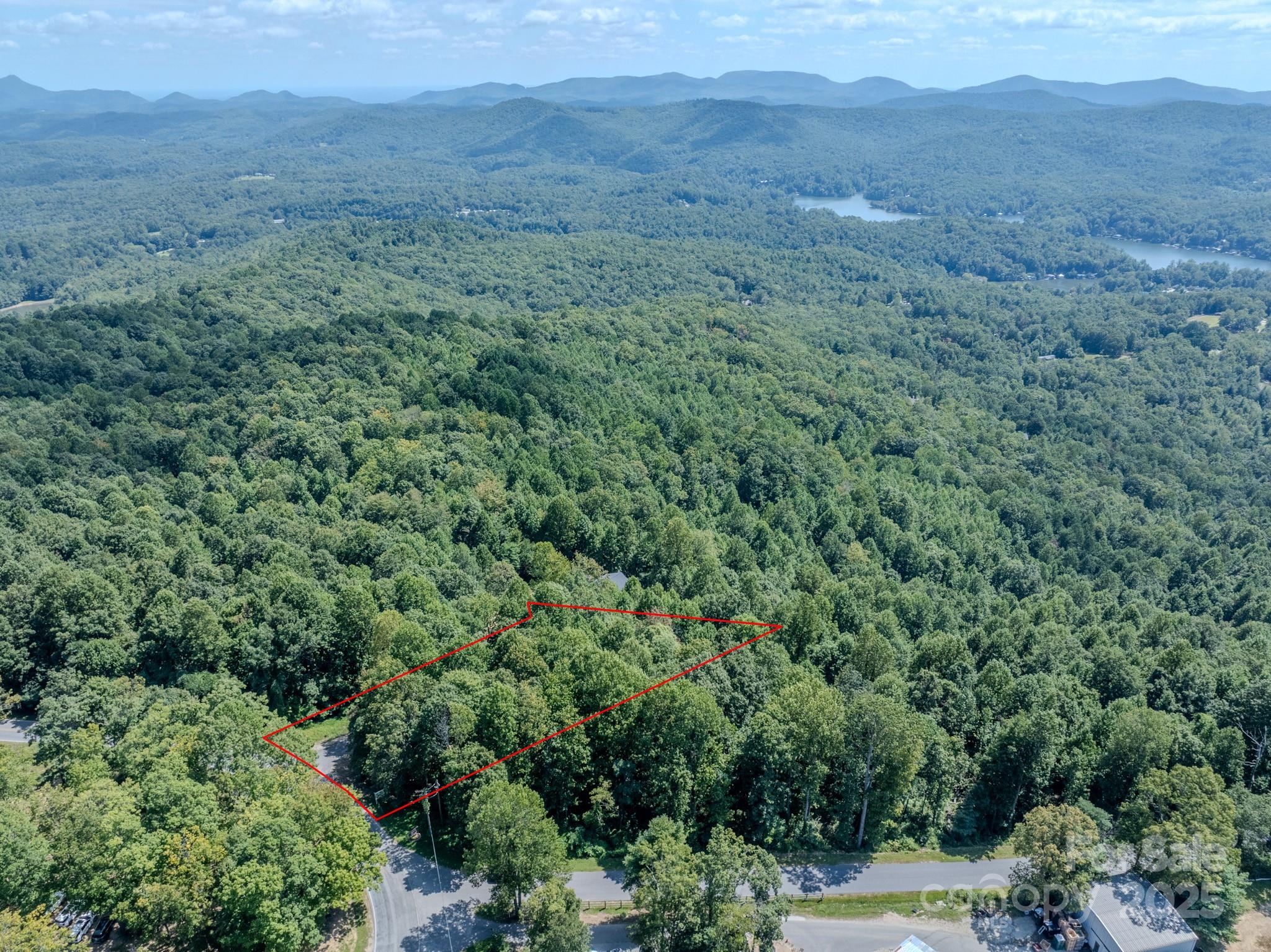 0 Pinnacle Mountain Road, Unit 1 Flat Rock, NC 28731 - Photo 8 of 18 a view of a lush green forest with lush green forest