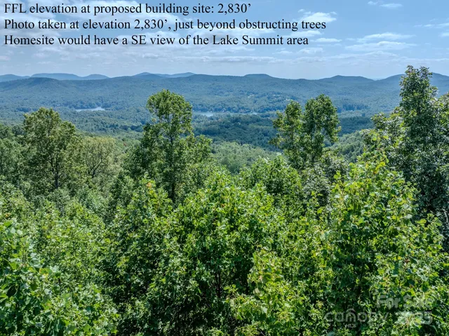 a view of a field with a tree in the background