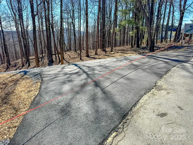 a view of a backyard with of trees