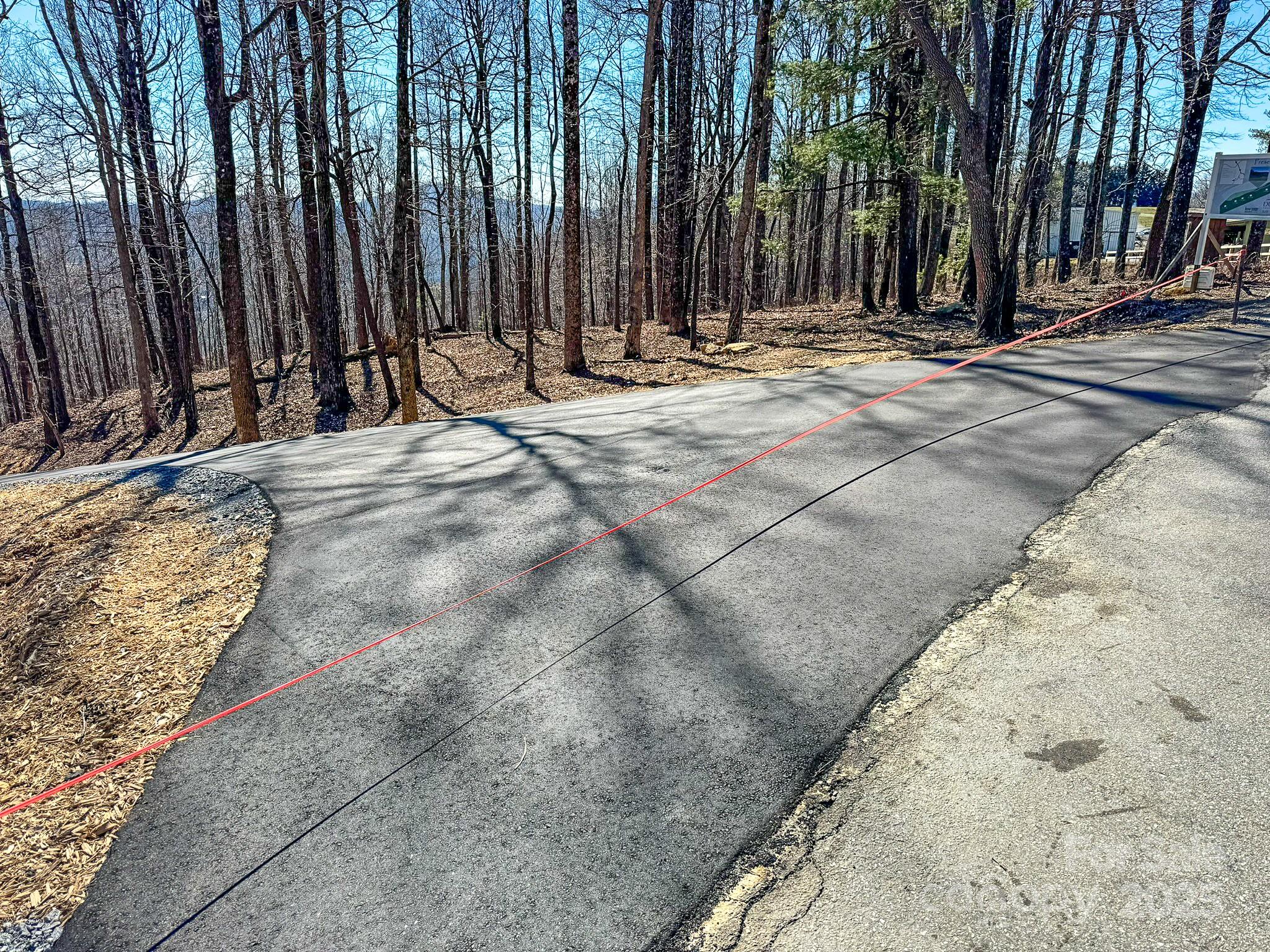 0 Pinnacle Mountain Road, Unit 1 Flat Rock, NC 28731 - Photo 10 of 18 a view of a backyard with of trees
