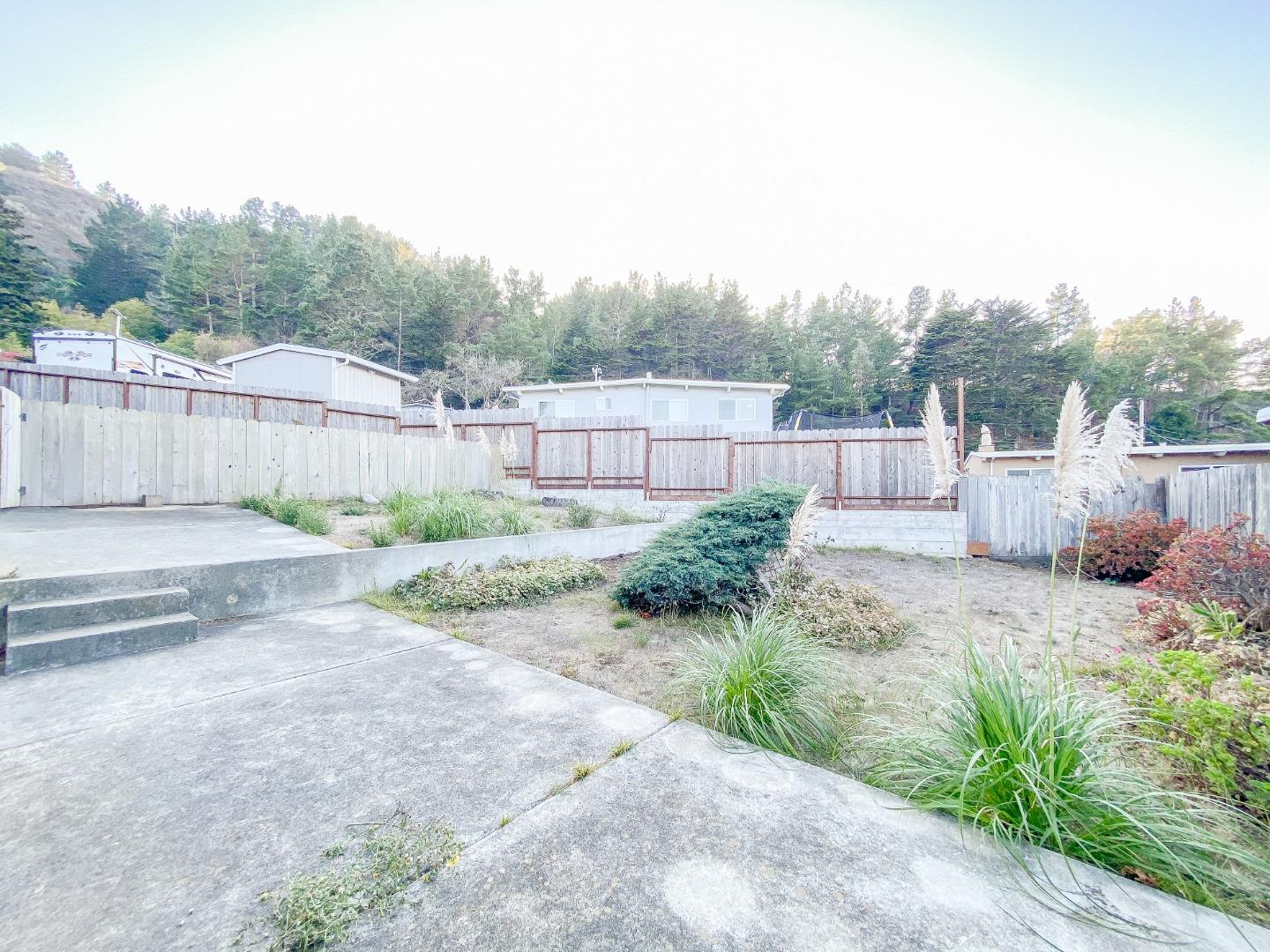 266 Hillside Drive Pacifica, CA 94044 - Photo 36 of 37 a view of a backyard with large trees