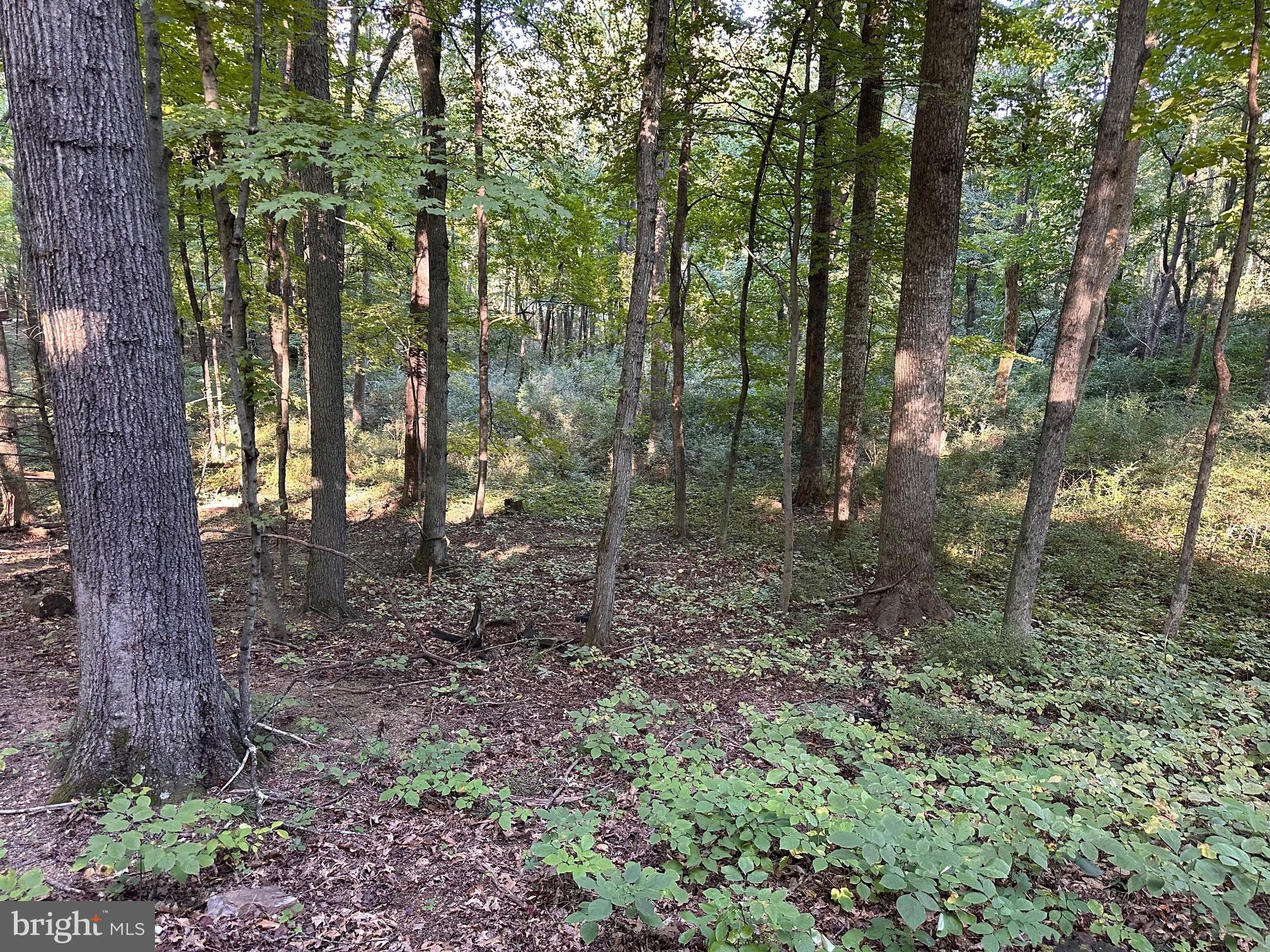 112 Mountainside Road Berkeley Springs, WV 25411 - Photo 11 of 55