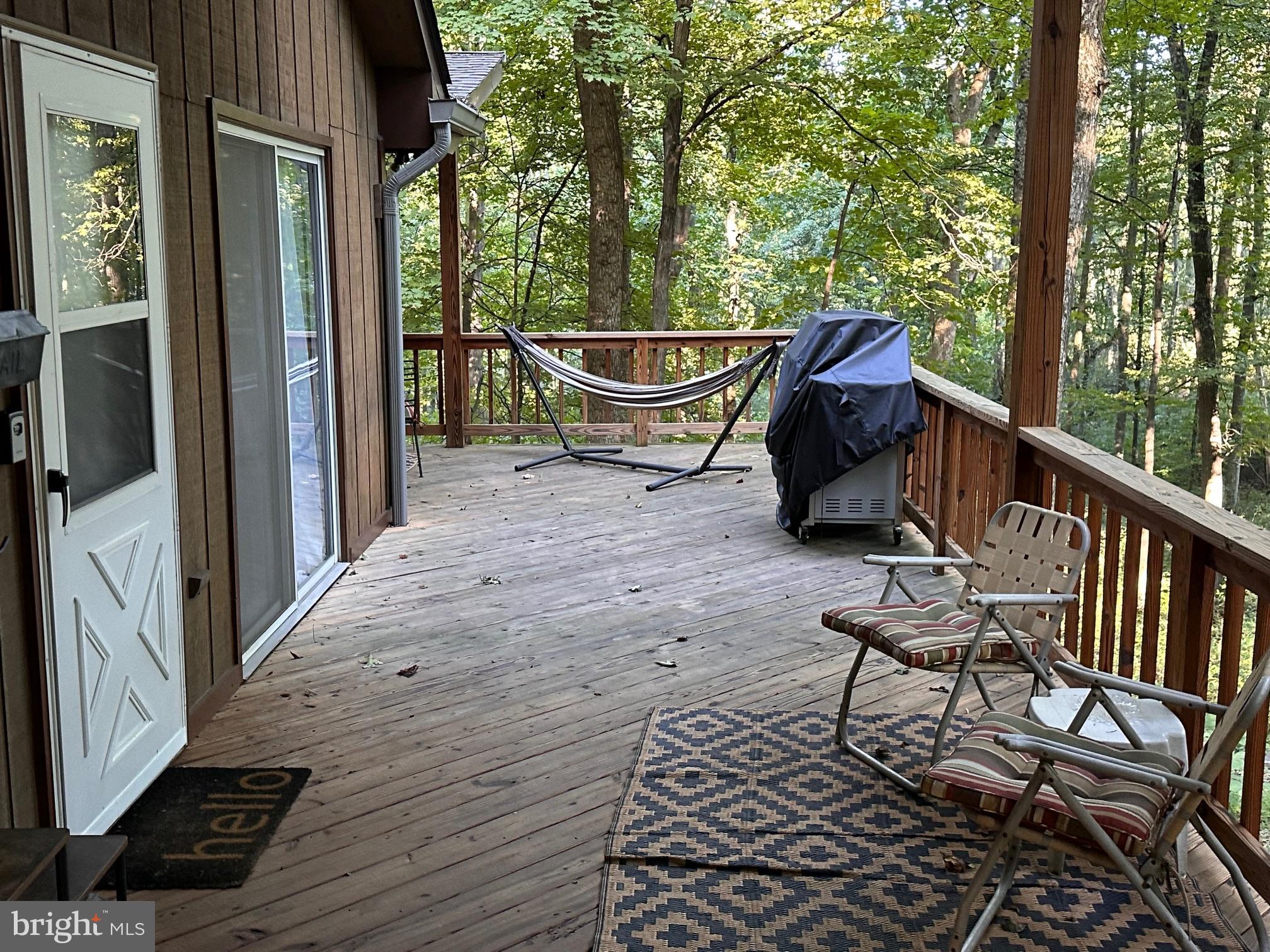 112 Mountainside Road Berkeley Springs, WV 25411 - Photo 3 of 55