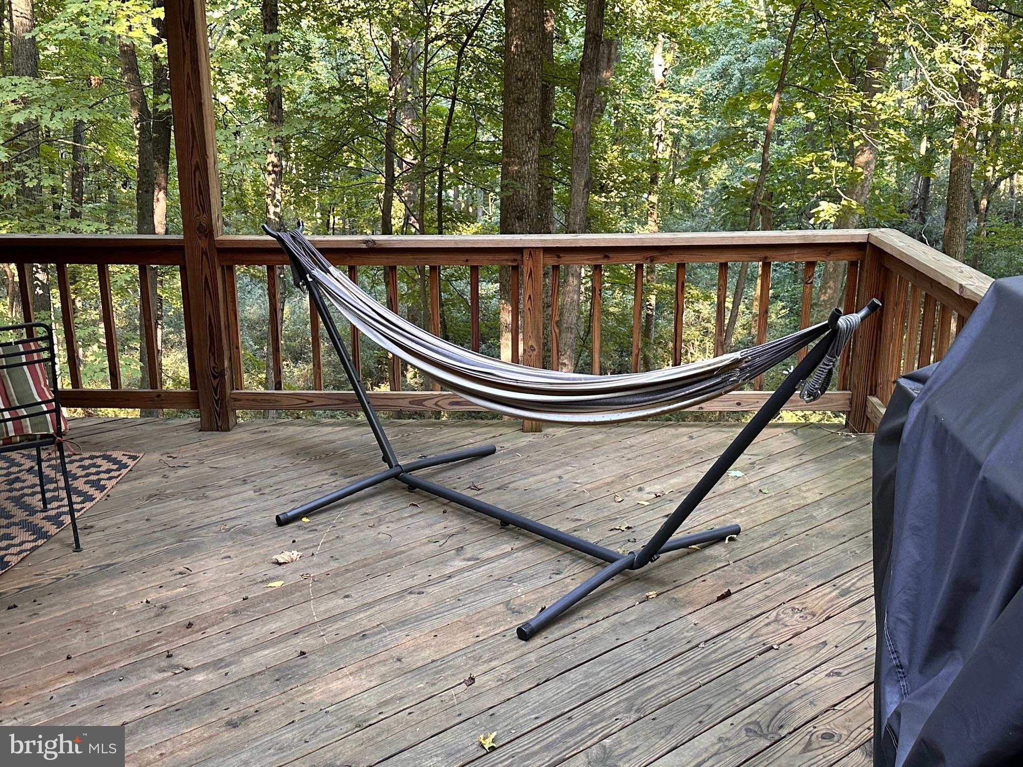 112 Mountainside Road Berkeley Springs, WV 25411 - Photo 4 of 55