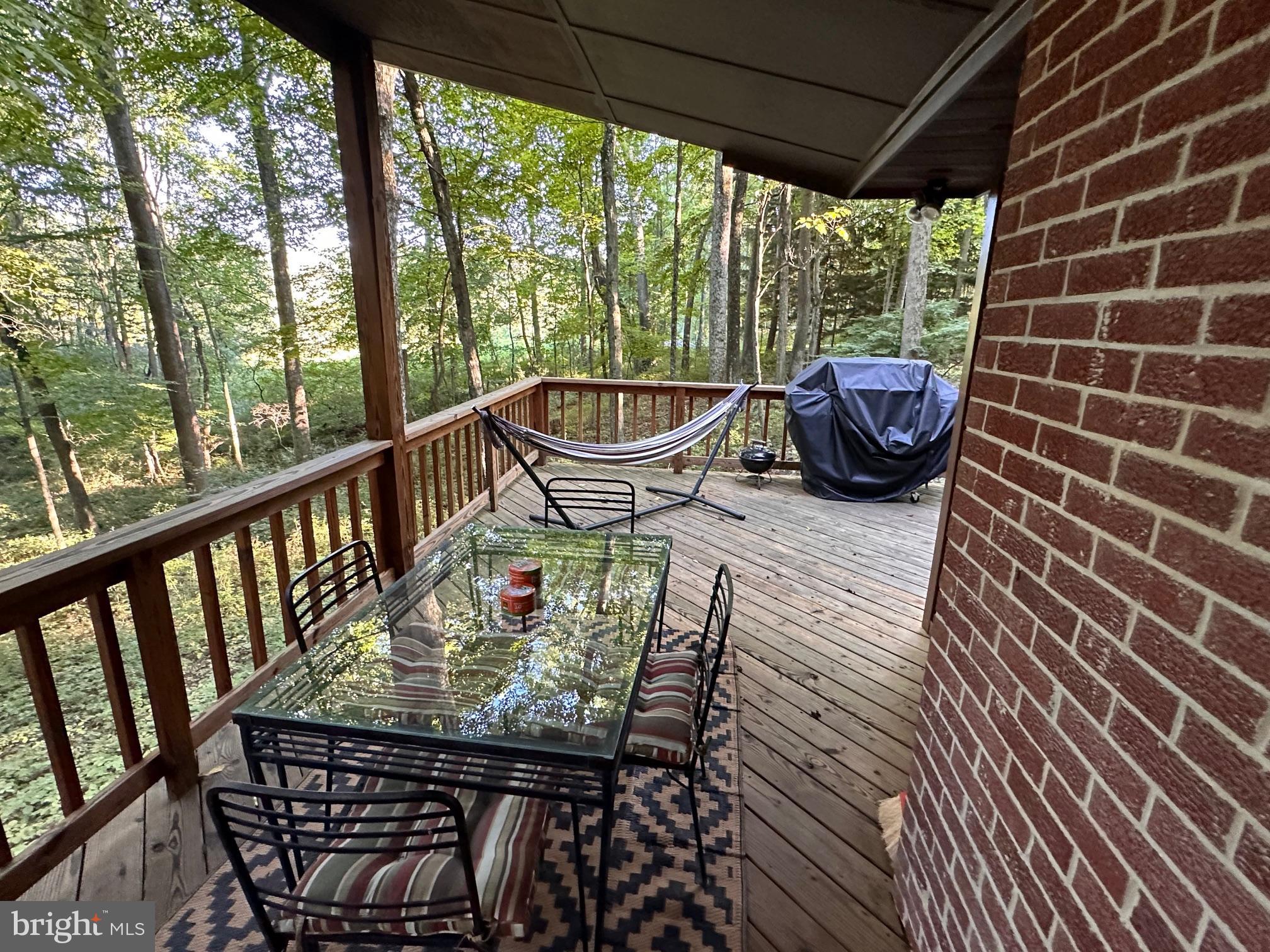 112 Mountainside Road Berkeley Springs, WV 25411 - Photo 5 of 55