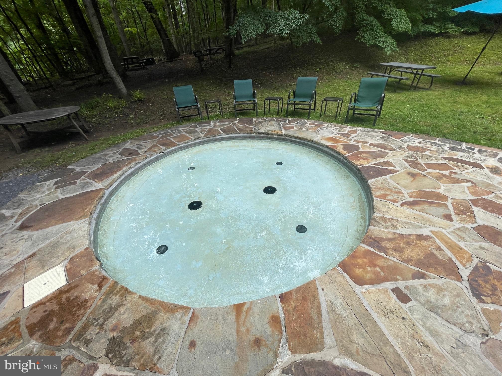 112 Mountainside Road Berkeley Springs, WV 25411 - Photo 54 of 55 Community Pool