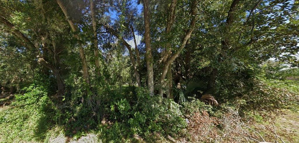 Southeast Hawthorne Road Hawthorne, FL 32640 - Photo 3 of 7