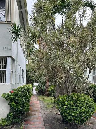 a picture of plants