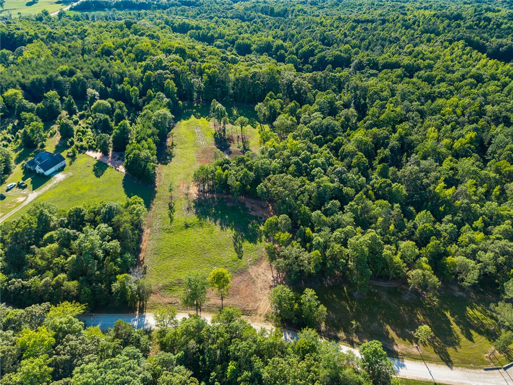 75 Hidden Acres Trail Pelzer, SC 29669 - Photo 24 of 32
