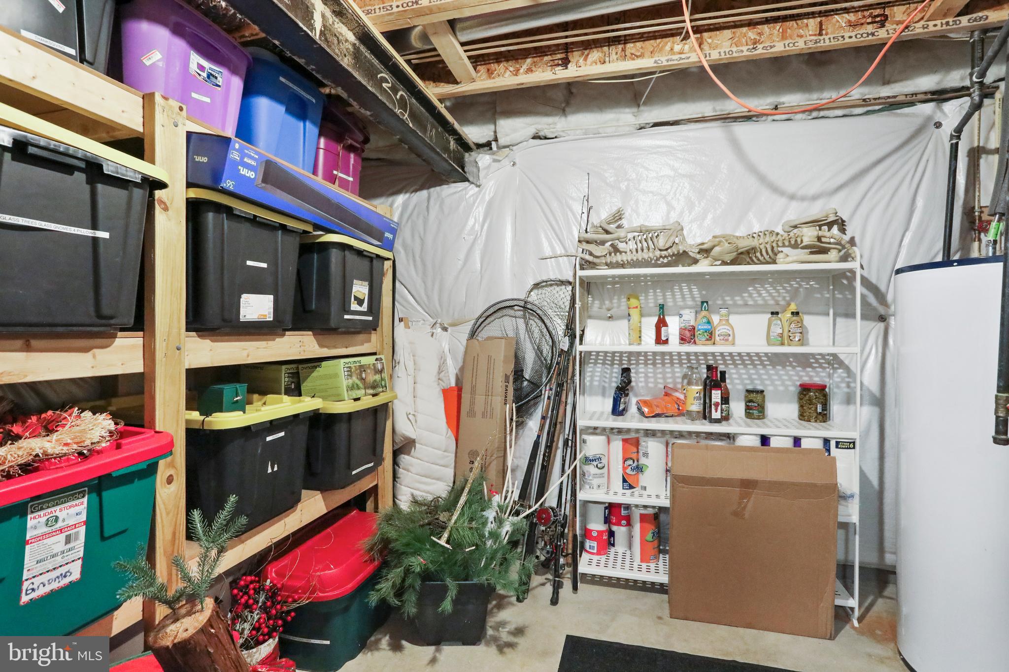 57 Glory Ridge Place Kearneysville, WV 25430 - Photo 48 of 63 Basement storage