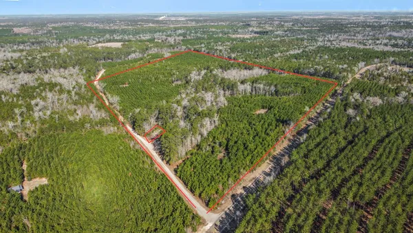 an aerial view of residential houses with outdoor space and trees