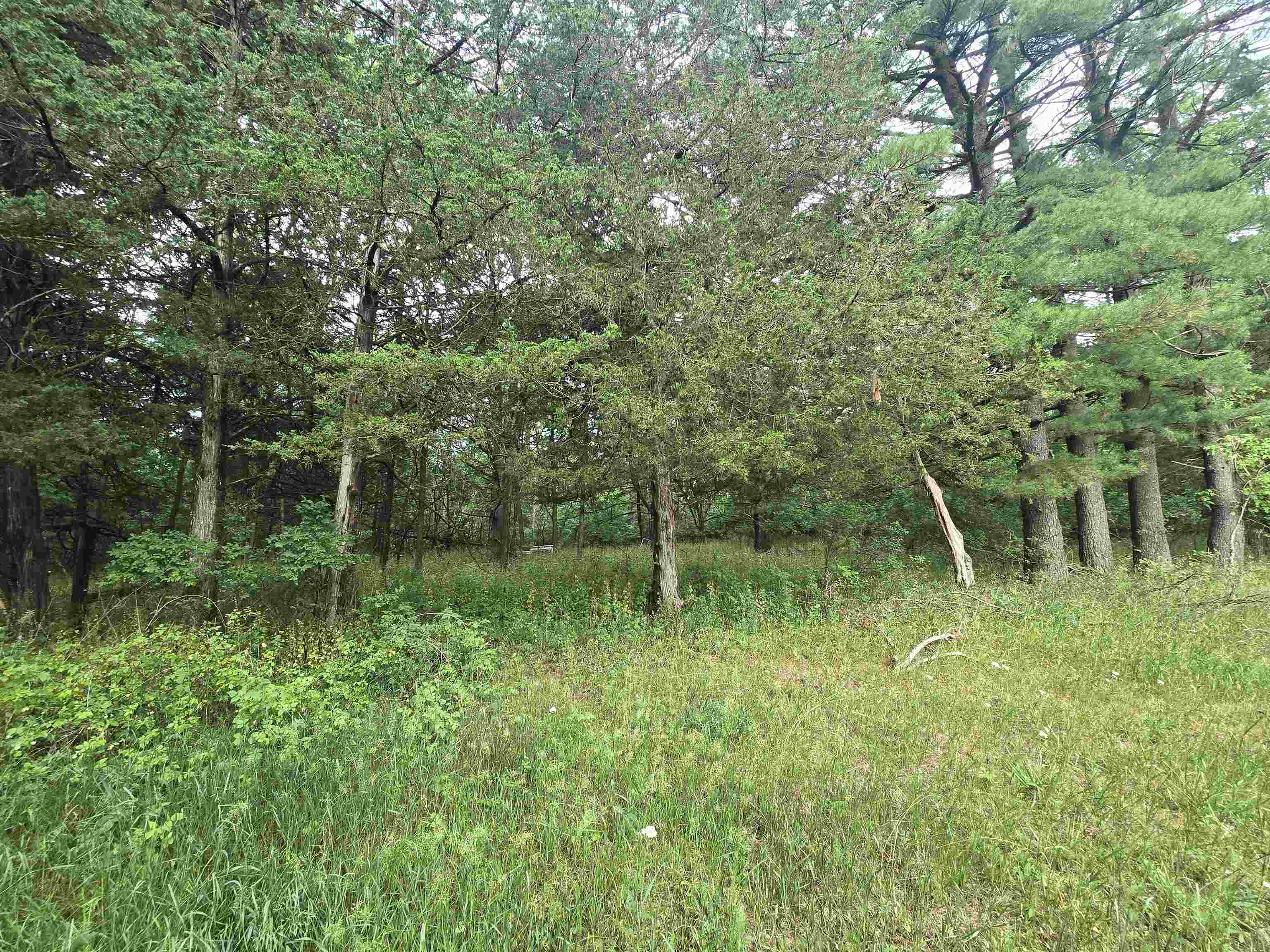 W11530 County Rd C Hancock, WI 54943 - Photo 42 of 42