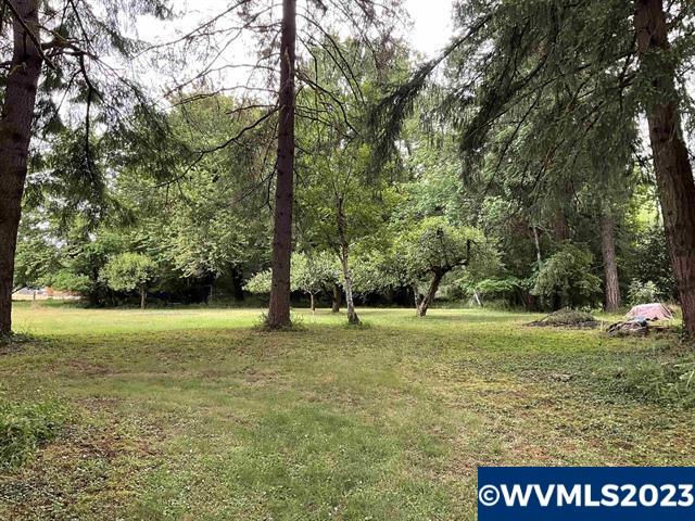 806 Southwest River Drive Dallas, OR 97338 - Photo 11 of 35