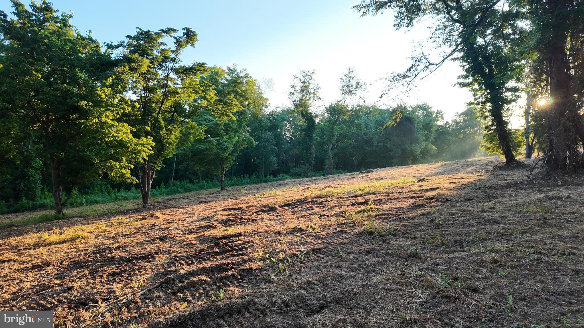 Clarkes Gap Road Waterford, VA 20197 - Photo 22 of 44 Gallery Image 22
