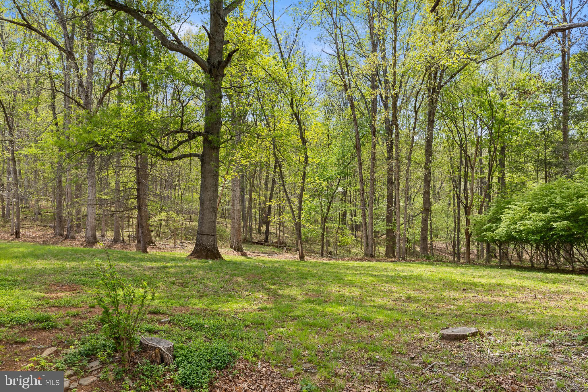 8358 Botha Road Warrenton, VA 20186 - Photo 31 of 35 Back Yard