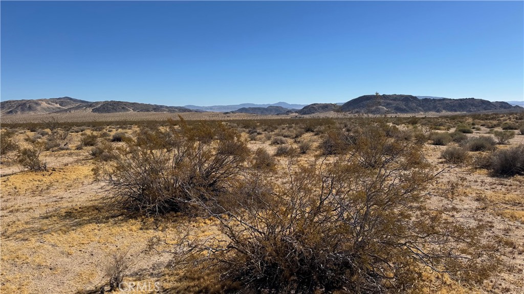 0 Bodick Road Johnson Valley, CA 92285 - Photo 11 of 12